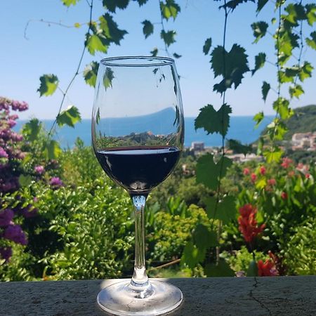 Petrovac Vila Pogled מראה חיצוני תמונה