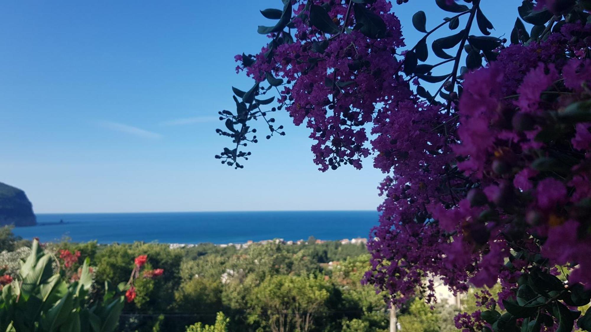 Petrovac Vila Pogled מראה חיצוני תמונה