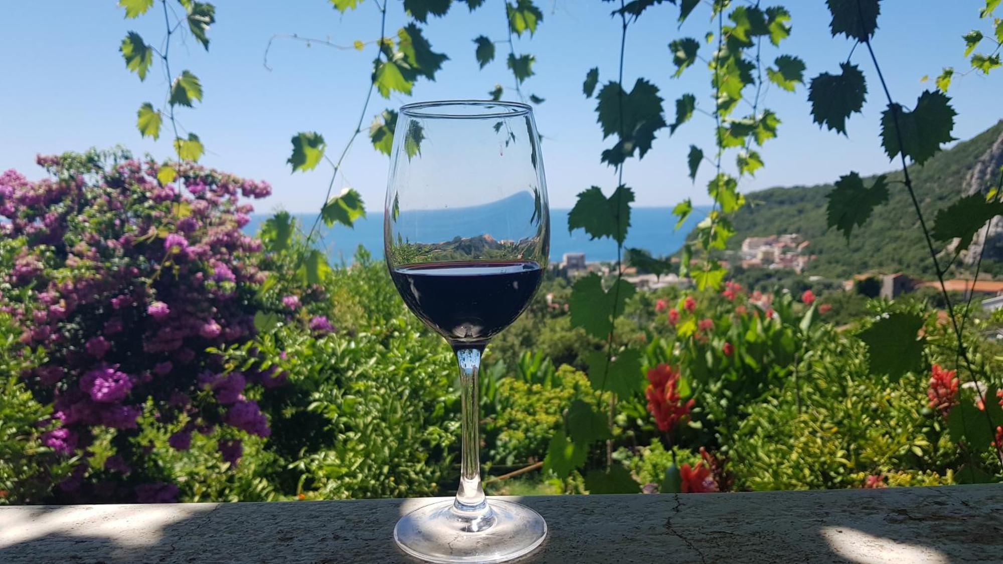 Petrovac Vila Pogled מראה חיצוני תמונה