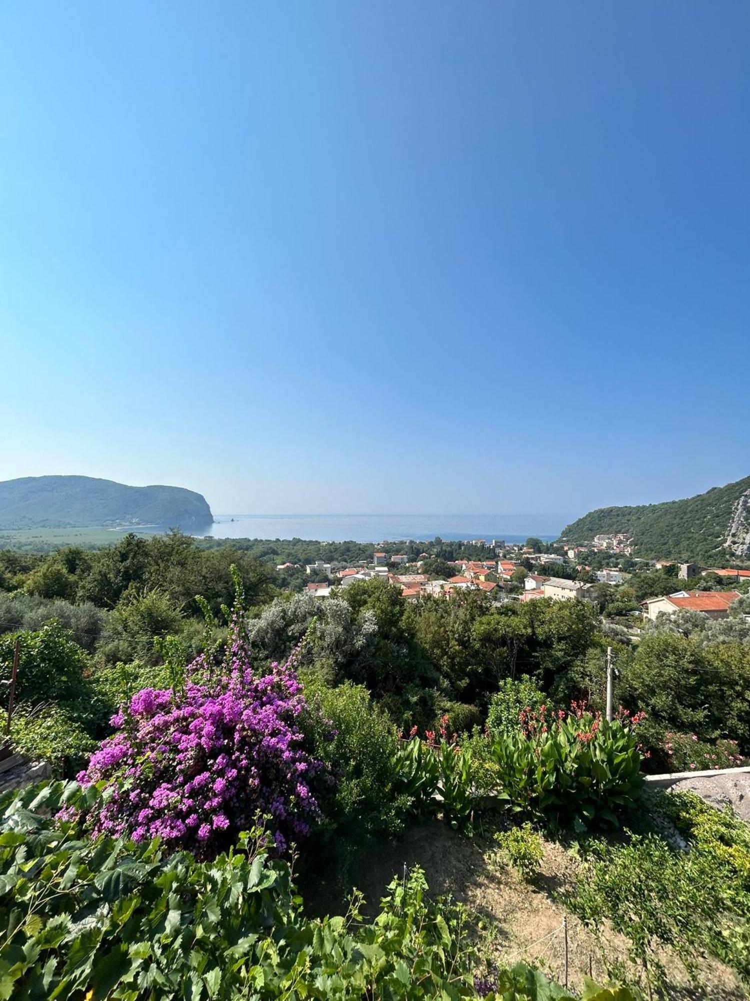 Petrovac Vila Pogled מראה חיצוני תמונה